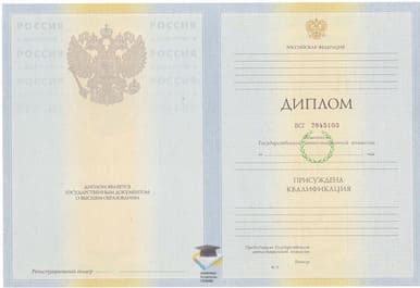 Диплом ЮРГИ 2010-2011 годов